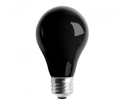 A19 60W BLACK BULB