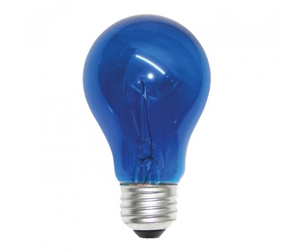 A19 40W BLUE BULB