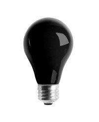 A19 60W BLACK BULB