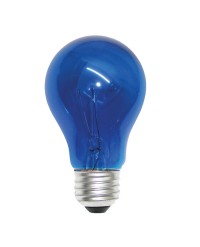 A19 40W BLUE BULB