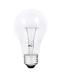 A19 ROUGH SERVICE 40W/130V/3000H, CLEAR
