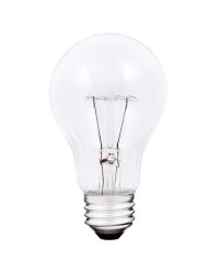 A19 ROUGH SERVICE 40W/130V/5000H, CLEAR