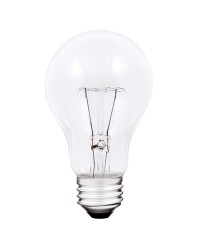 A19 ROUGH SERVICE 100W/130V/5000H, CLEAR