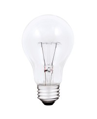A19 ROUGH SERVICE 100W/130V/3000H, CLEAR