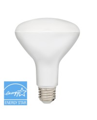 BR30 LED 9 W, REEMPLAZO DE 65 W, REGULABLE