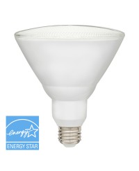 PAR38 LED 13 W, REEMPLAZO DE 90 W, REGULABLE