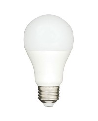 A19 À DEL 6 W, REMPLACEMENT 40 W