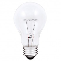 A19 ANTI-CHOCS 100 W/130 V/5 000 H, CLAIRE